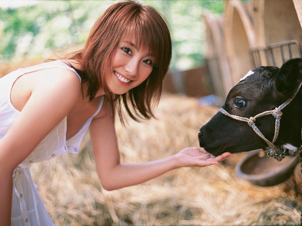双河美女商务伴游